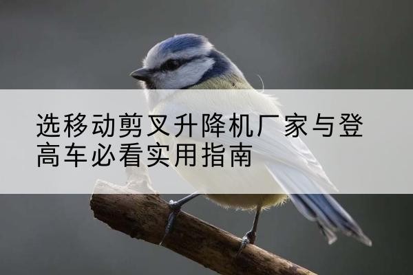 成华电动升降机厂家-选移动剪叉升降机厂家与登高车必看实用指南