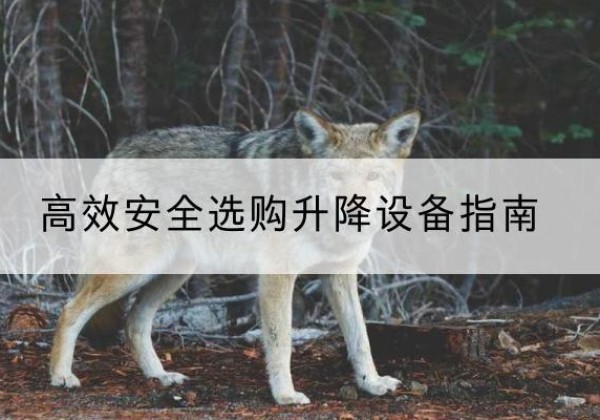 成华升降货梯厂家推荐-*安全选购升降设备指南