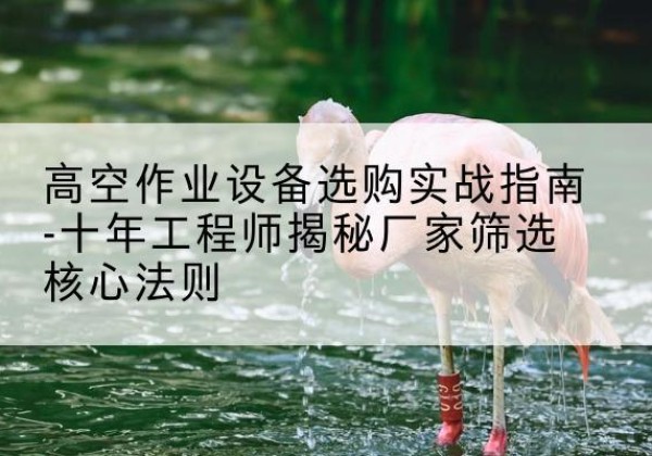 成华剪叉式升降机厂家-高空作业设备选购实战指南-十年工程师揭秘厂家筛选核心法则